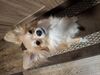 Filename=20250504_002.jpg
Filesize=3699KiB
Dimensions=2048x1536
Date added=Jul 10, 2025 20250504_002.jpg