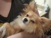 Filename=20250505_010.jpg
Filesize=4222KiB
Dimensions=2048x1536
Date added=Jul 10, 2025 20250505_010.jpg