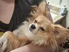 Filename=20250505_011.jpg
Filesize=3880KiB
Dimensions=2048x1536
Date added=Jul 10, 2025 20250505_011.jpg