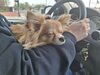 Filename=20250507_002.jpg
Filesize=3836KiB
Dimensions=2048x1536
Date added=Jul 10, 2025 20250507_002.jpg