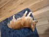 Filename=20250509_003.jpg
Filesize=3955KiB
Dimensions=2048x1536
Date added=Jul 10, 2025 20250509_003.jpg