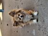 Filename=20250510_001.jpg
Filesize=3280KiB
Dimensions=2048x1536
Date added=Jul 10, 2025 20250510_001.jpg