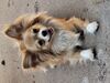 Filename=20250510_002.jpg
Filesize=2624KiB
Dimensions=2048x1536
Date added=Jul 10, 2025 20250510_002.jpg