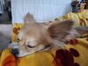 Filename=20250514_001.jpg
Filesize=3550KiB
Dimensions=2048x1536
Date added=Jul 10, 2025 20250514_001.jpg