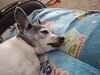 Filename=20250514_002.jpg
Filesize=3689KiB
Dimensions=2048x1536
Date added=Jul 10, 2025 20250514_002.jpg