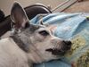 Filename=20250514_003.jpg
Filesize=3772KiB
Dimensions=2048x1536
Date added=Jul 10, 2025 20250514_003.jpg