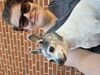 Filename=20250515_002.jpg
Filesize=2626KiB
Dimensions=2048x1536
Date added=Jul 10, 2025 20250515_002.jpg