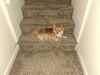 Filename=20250516_002.jpg
Filesize=5888KiB
Dimensions=2048x1536
Date added=Jul 10, 2025 20250516_002.jpg
