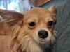 Filename=20250517_002.jpg
Filesize=3258KiB
Dimensions=2048x1536
Date added=Jul 10, 2025 20250517_002.jpg