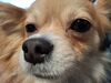 Filename=20250517_003.jpg
Filesize=3458KiB
Dimensions=2048x1536
Date added=Jul 10, 2025 20250517_003.jpg