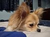 Filename=20250519_001.jpg
Filesize=3430KiB
Dimensions=2048x1536
Date added=Jul 10, 2025 20250519_001.jpg