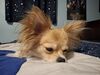 Filename=20250519_002.jpg
Filesize=3414KiB
Dimensions=2048x1536
Date added=Jul 10, 2025 20250519_002.jpg
