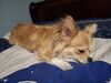 Filename=20250519_003.jpg
Filesize=3668KiB
Dimensions=2048x1536
Date added=Jul 10, 2025 20250519_003.jpg