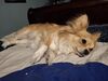 Filename=20250519_004.jpg
Filesize=3730KiB
Dimensions=2048x1536
Date added=Jul 10, 2025 20250519_004.jpg