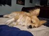 Filename=20250519_005.jpg
Filesize=3691KiB
Dimensions=2048x1536
Date added=Jul 10, 2025 20250519_005.jpg