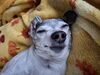 Filename=20250519_008.jpg
Filesize=3606KiB
Dimensions=2048x1536
Date added=Jul 10, 2025 20250519_008.jpg