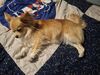 Filename=20250524_001.jpg
Filesize=3681KiB
Dimensions=2048x1536
Date added=Jul 10, 2025 20250524_001.jpg