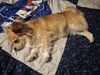 Filename=20250524_002.jpg
Filesize=3579KiB
Dimensions=2048x1536
Date added=Jul 10, 2025 20250524_002.jpg