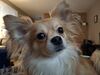 Filename=20250527_002.jpg
Filesize=3253KiB
Dimensions=2048x1536
Date added=Jul 10, 2025 20250527_002.jpg