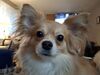 Filename=20250527_003.jpg
Filesize=3339KiB
Dimensions=2048x1536
Date added=Jul 10, 2025 20250527_003.jpg
