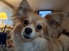 Filename=20250527_004.jpg
Filesize=2973KiB
Dimensions=2048x1536
Date added=Jul 10, 2025 20250527_004.jpg