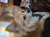 Filename=20250527_005.jpg
Filesize=3131KiB
Dimensions=2048x1536
Date added=Jul 10, 2025 20250527_005.jpg