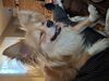 Filename=20250527_006.jpg
Filesize=3321KiB
Dimensions=2048x1536
Date added=Jul 10, 2025 20250527_006.jpg