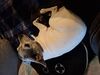 Filename=20250529_001.jpg
Filesize=3780KiB
Dimensions=2048x1536
Date added=Jul 10, 2025 20250529_001.jpg