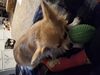 Filename=20250529_002.jpg
Filesize=3155KiB
Dimensions=2048x1536
Date added=Jul 10, 2025 20250529_002.jpg