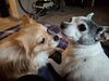 Filename=20250529_003.jpg
Filesize=3526KiB
Dimensions=2048x1536
Date added=Jul 10, 2025 20250529_003.jpg