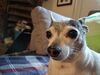 Filename=20250529_006.jpg
Filesize=3470KiB
Dimensions=2048x1536
Date added=Jul 10, 2025 20250529_006.jpg