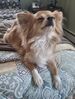 Filename=20250530_001.jpg
Filesize=1788KiB
Dimensions=1546x2047
Date added=Jul 10, 2025 20250530_001.jpg