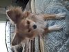 Filename=20250530_002.jpg
Filesize=3916KiB
Dimensions=2048x1536
Date added=Jul 10, 2025 20250530_002.jpg