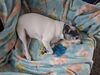 Filename=20250530_003.jpg
Filesize=3702KiB
Dimensions=2048x1536
Date added=Jul 10, 2025 20250530_003.jpg