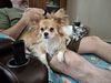 Filename=20250531_002.jpg
Filesize=3698KiB
Dimensions=2048x1536
Date added=Jul 10, 2025 20250531_002.jpg
