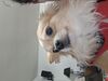 Filename=20250531_004.jpg
Filesize=2814KiB
Dimensions=2048x1536
Date added=Jul 10, 2025 20250531_004.jpg
