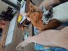 Filename=20250601_002.jpg
Filesize=4879KiB
Dimensions=2048x1536
Date added=Jul 10, 2025 20250601_002.jpg