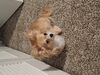 Filename=20250603_004.jpg
Filesize=3251KiB
Dimensions=2048x1536
Date added=Jul 10, 2025 20250603_004.jpg