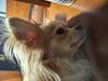 Filename=20250603_006.jpg
Filesize=3411KiB
Dimensions=2048x1536
Date added=Jul 10, 2025 20250603_006.jpg