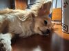 Filename=20250603_007.jpg
Filesize=3609KiB
Dimensions=2048x1536
Date added=Jul 10, 2025 20250603_007.jpg