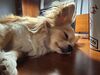 Filename=20250603_008.jpg
Filesize=3578KiB
Dimensions=2048x1536
Date added=Jul 10, 2025 20250603_008.jpg