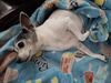 Filename=20250604_003.jpg
Filesize=3433KiB
Dimensions=2048x1536
Date added=Jul 10, 2025 20250604_003.jpg