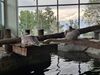 20250611_004.jpg