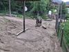 20250611_028.jpg