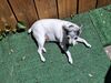 20250616_001.jpg