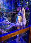 Filename=20250704_018.jpg
Filesize=607KiB
Dimensions=1536x2048
Date added=Sep 01, 2025 20250704_018.jpg