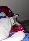 Filename=20250705_001.jpg
Filesize=541KiB
Dimensions=2048x1536
Date added=Sep 01, 2025 20250705_001.jpg