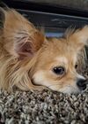 Filename=20250716_003.jpg
Filesize=448KiB
Dimensions=2048x1536
Date added=Sep 01, 2025 20250716_003.jpg