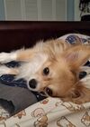 Filename=20250725_002.jpg
Filesize=443KiB
Dimensions=2048x1536
Date added=Sep 01, 2025 20250725_002.jpg