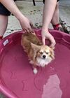 Filename=20250805_003.jpg
Filesize=553KiB
Dimensions=2048x1536
Date added=Sep 03, 2025 20250805_003.jpg